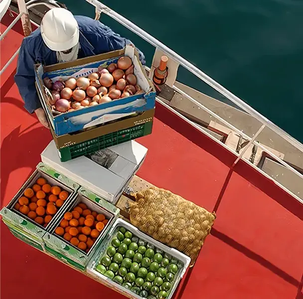 Provision store service