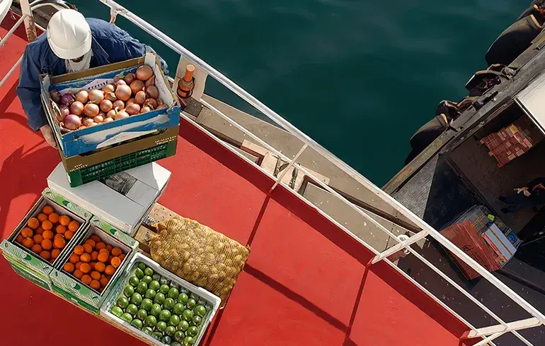 Provision & Bond Stores